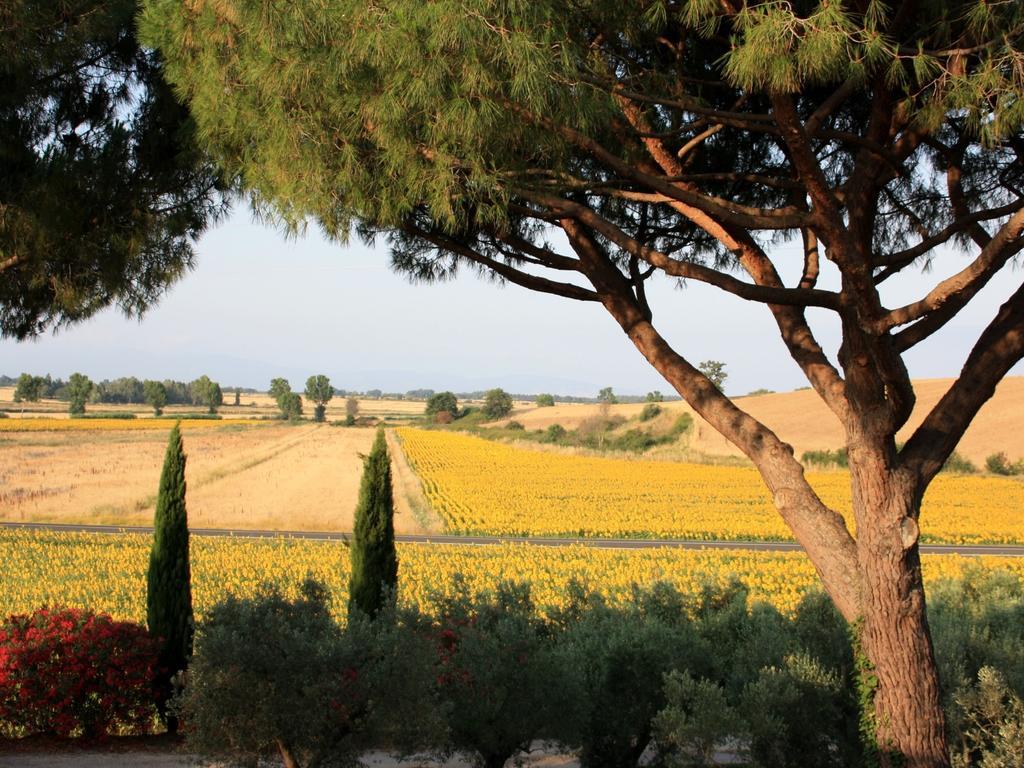 Agriturismo Peretti Fonteblanda Exteriér fotografie