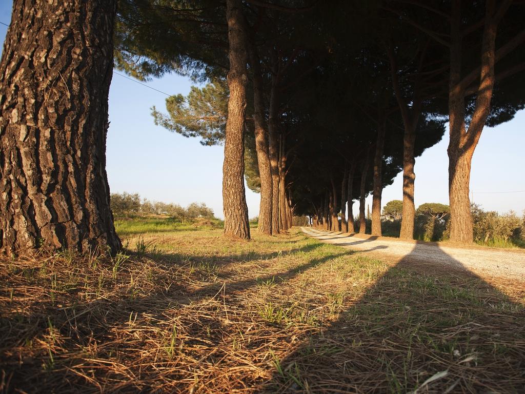 Agriturismo Peretti Fonteblanda Exteriér fotografie